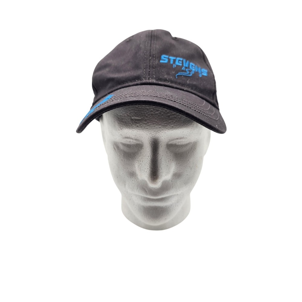 Stevens Pass Hat Cap Strap‎ Back Embroidered Blue Bird Team 2019-2020 One Size
